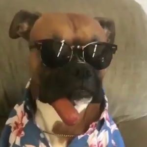 Meet your Posher, Kyle